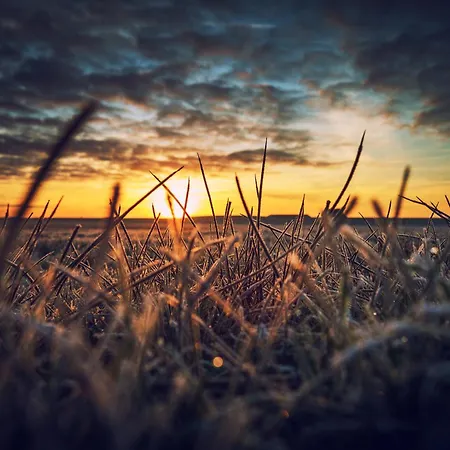 Lejlighed Boje 1 Spiekeroog