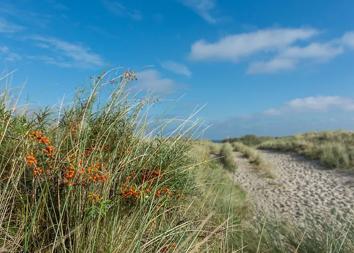 Boje 1 Апартаменты *