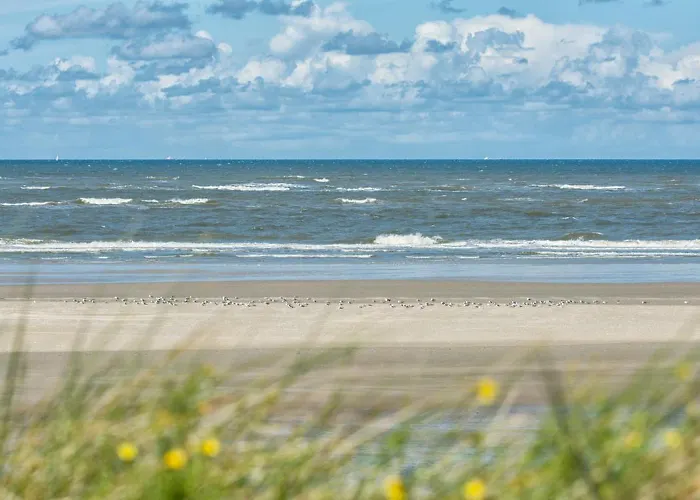 Апартаменты Boje 1 *